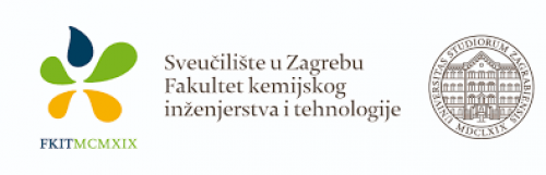 Iva Zokić - diskusijska skupina